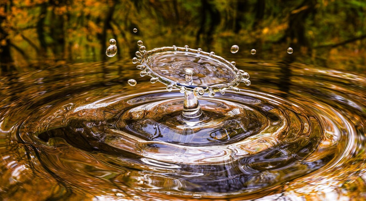 Bild von Arek Socha auf Pixabay