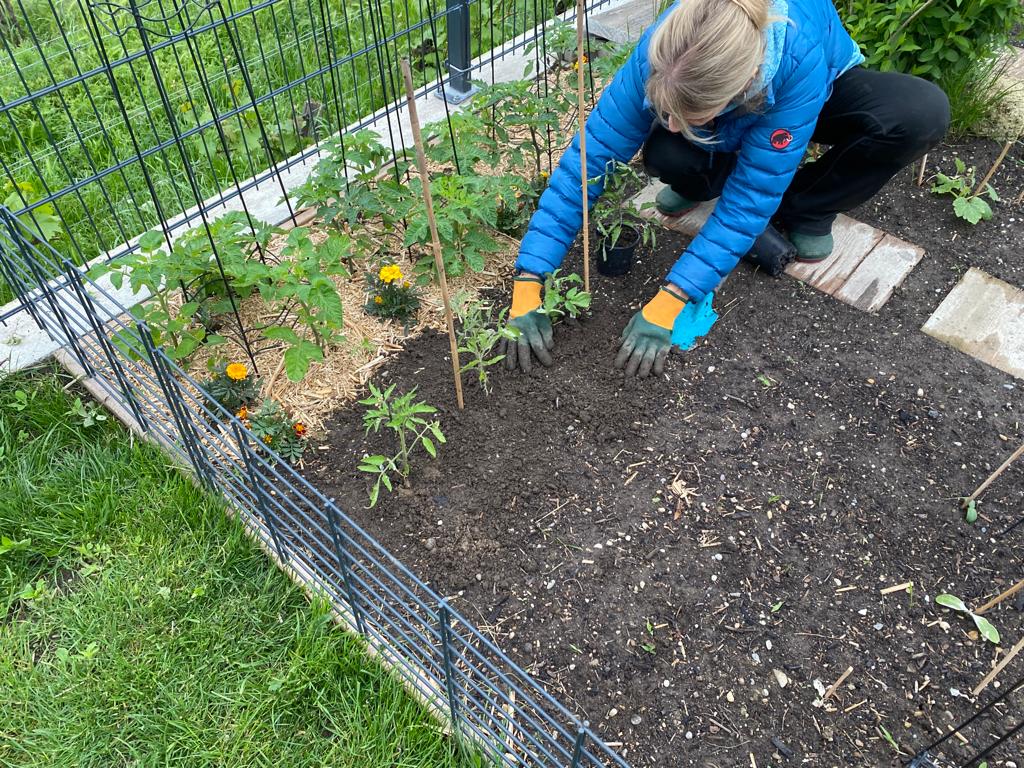 Gartenarbeit im Frühjahr